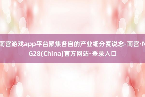 南宫游戏app平台聚焦各自的产业细分赛说念-南宫·NG28(China)官方网站-登录入口