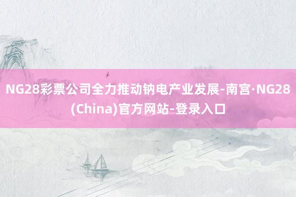 NG28彩票公司全力推动钠电产业发展-南宫·NG28(China)官方网站-登录入口