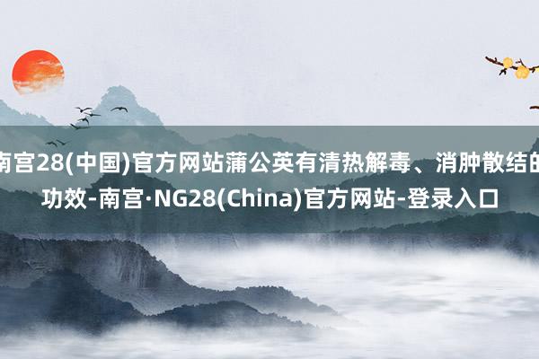 南宫28(中国)官方网站蒲公英有清热解毒、消肿散结的功效-南宫·NG28(China)官方网站-登录入口