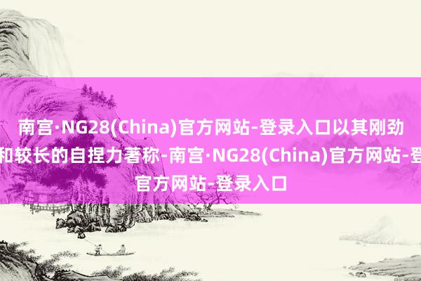 南宫·NG28(China)官方网站-登录入口以其刚劲的火力和较长的自捏力著称-南宫·NG28(China)官方网站-登录入口