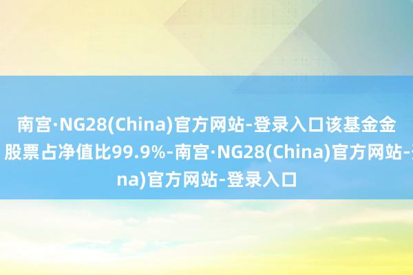 南宫·NG28(China)官方网站-登录入口该基金金钱成立：股票占净值比99.9%-南宫·NG28(China)官方网站-登录入口
