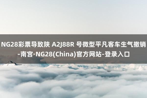 NG28彩票导致陕 A2J88R 号微型平凡客车生气撤销-南宫·NG28(China)官方网站-登录入口