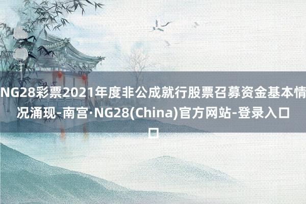 NG28彩票2021年度非公成就行股票召募资金基本情况涌现-南宫·NG28(China)官方网站-登录入口
