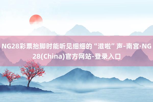 NG28彩票抬脚时能听见细细的“滋啦”声-南宫·NG28(China)官方网站-登录入口